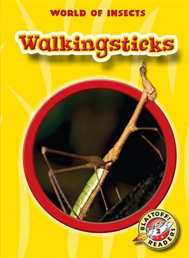 Cover image for Walkingsticks
