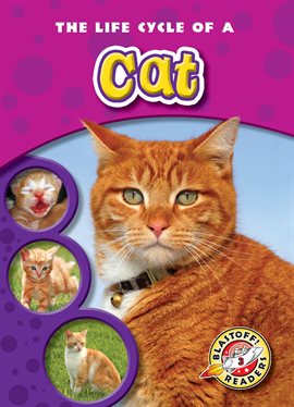 Cover image for The Life Cycle of a Cat