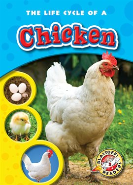 Image de couverture de The Life Cycle of a Chicken