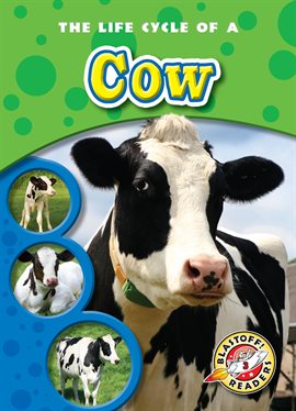 Cover image for The Life Cycle of a Cow