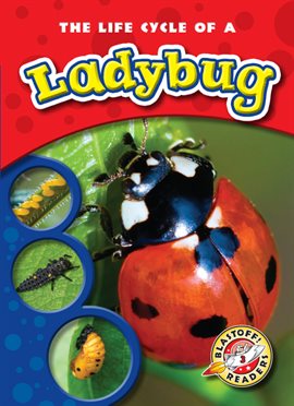 Imagen de portada para The Life Cycle of a Ladybug