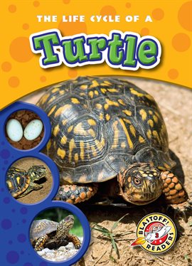 Cover image for The Life Cycle of a Turtle