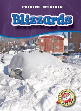 Cover image for Blizzards