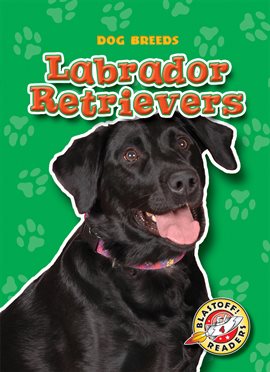 Cover image for Labrador Retrievers