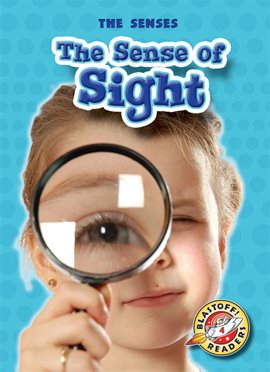 Cover image for The Sense of Sight