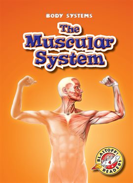 Cover image for The Muscular System