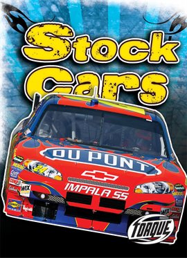 Cover image for Stock Cars