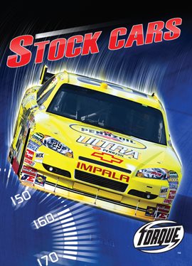 Cover image for Stock Cars