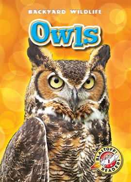 Cover image for Owls