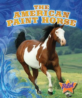 Cover image for The American Paint Horse
