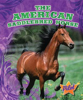 Cover image for The American Saddlebred Horse