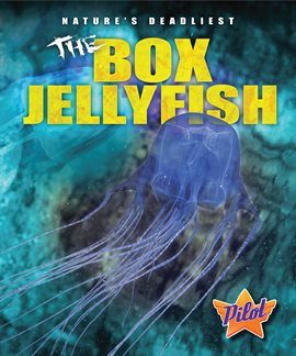 Cover image for The Box Jellyfish