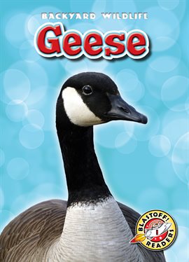 Cover image for Geese