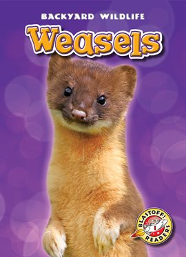 Cover image for Weasels