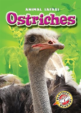 OSTRICH - alex's cycle