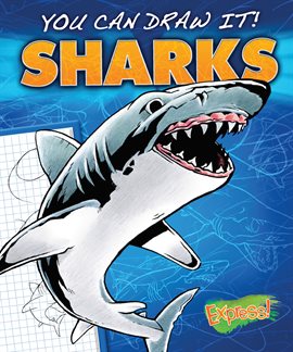 Cover image for Sharks