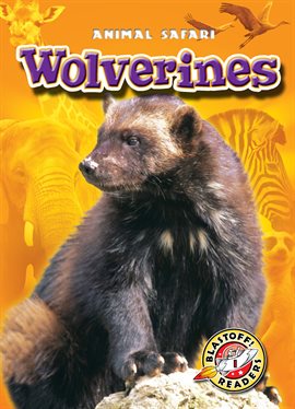 Cover image for Wolverines
