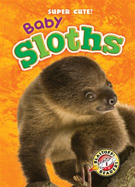 Imagen de portada para Baby Sloths