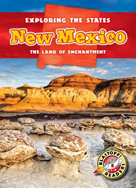 Cover image for New Mexico