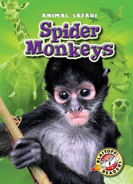 Cover image for Spider Monkeys
