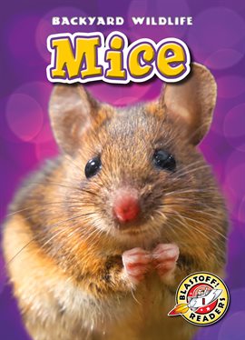Cover image for Mice