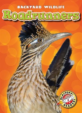Cover image for Roadrunners