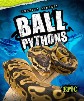 Imagen de portada para Ball Pythons