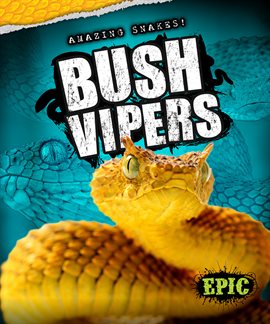Imagen de portada para Bush Vipers