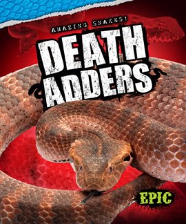 Imagen de portada para Death Adders