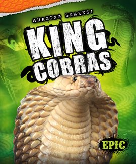 Imagen de portada para King Cobras