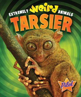 Cover image for Tarsier