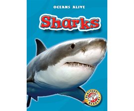 Cover image for Sharks