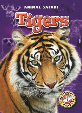 Cover image for Tigers