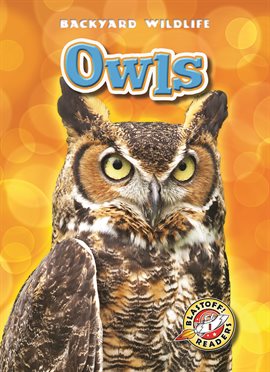 Cover image for Owls