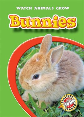 Cover image for Bunnies