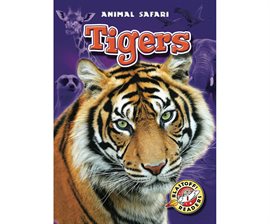 Cover image for Tigers