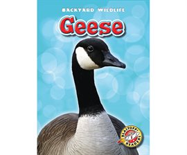 Cover image for Geese