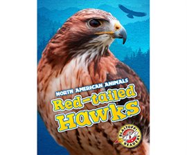Cover image for Red-tailed Hawks
