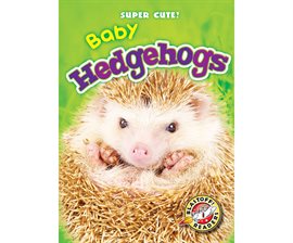 Cover image for Baby Hedgehogs