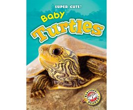 Cover image for Baby Turtles