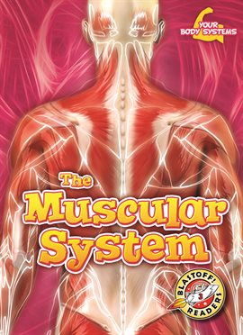 Cover image for The Muscular System