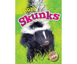 Cover image for Baby Skunks
