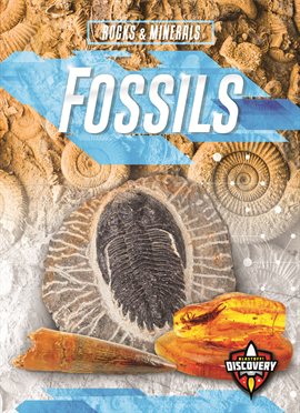 Cover image for Fossils