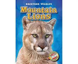 Cover image for Mountain Lions