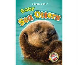 Image de couverture de Baby Sea Otters