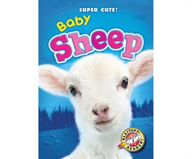 Cover image for Baby Sheep