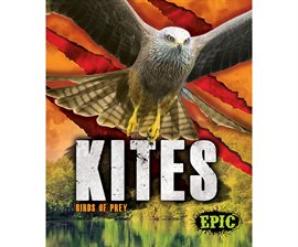 Cover image for Kites