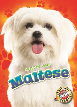 Cover image for Maltese