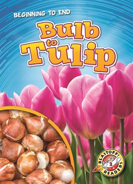 Imagen de portada para Bulb to Tulip