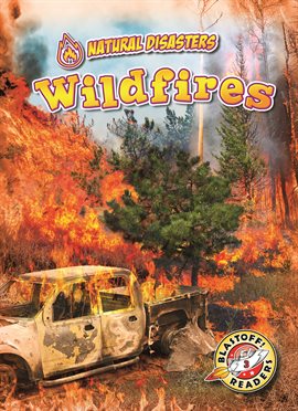 Cover image for Wildfires